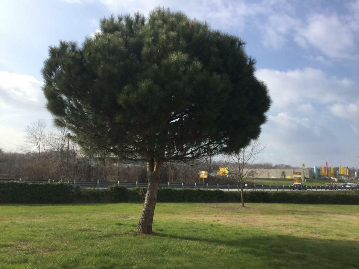 La Casetta Pombia 外观 照片
